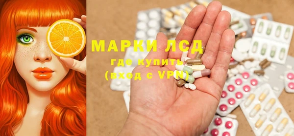стафф Новозыбков